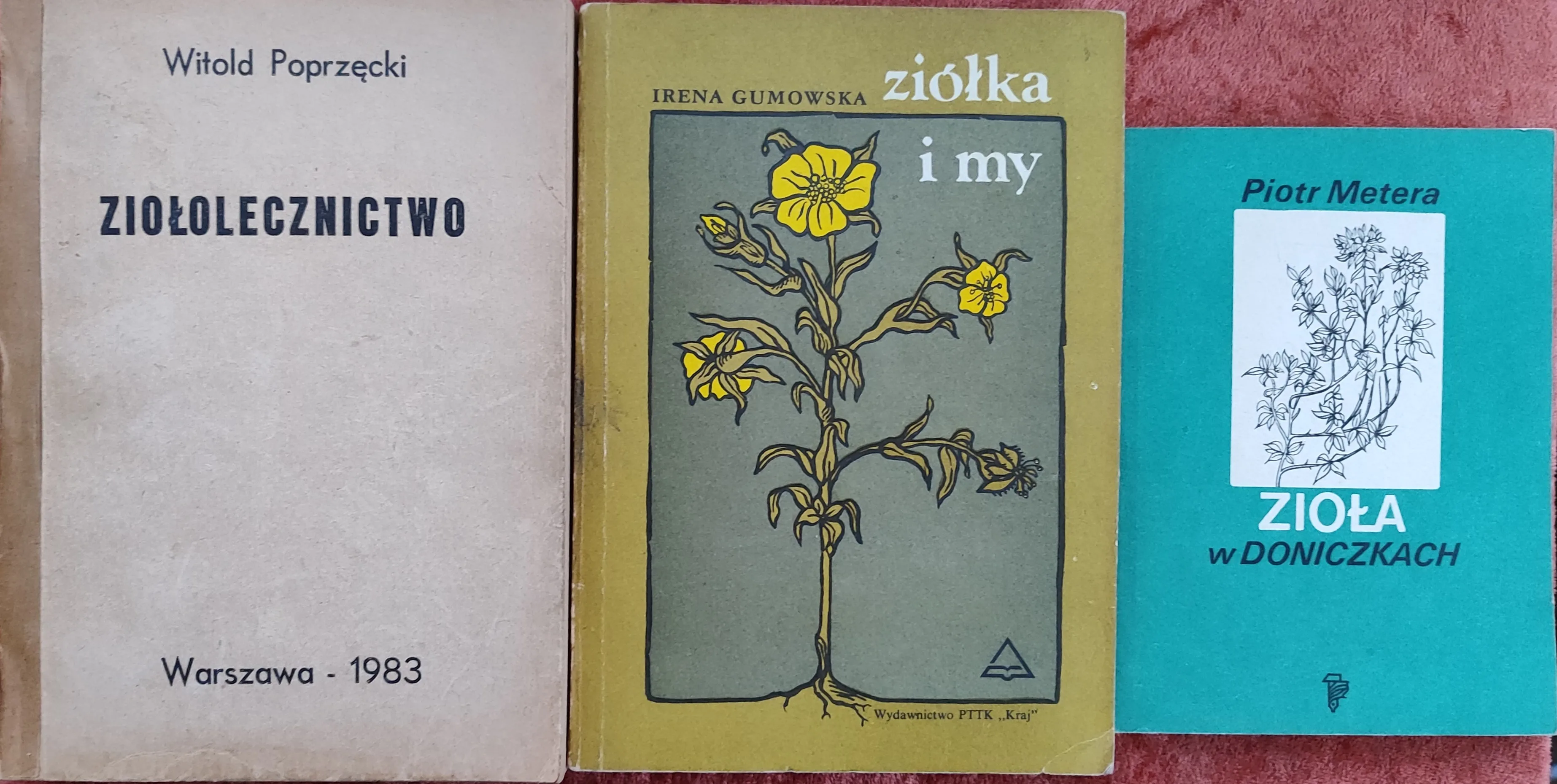 Ziołolecznictwo, Ziółka i my, Zioła w doniczkach