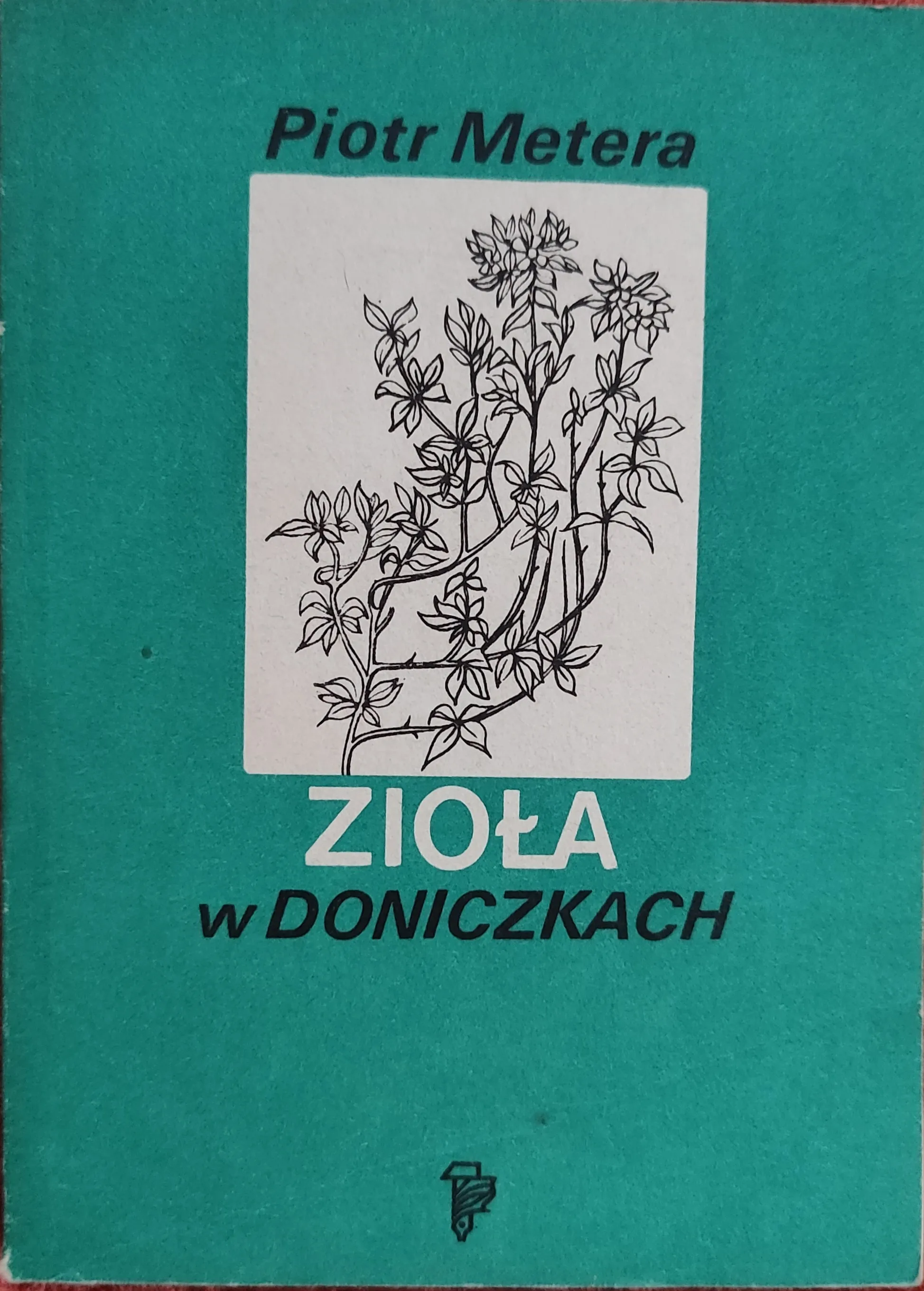 Ziołolecznictwo, Ziółka i my, Zioła w doniczkach - obrazek 5