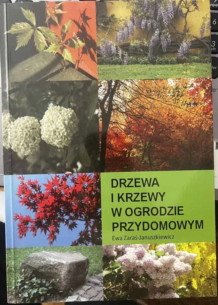 Drzewa i krzewy w ogrodzie przydomowym